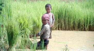 Child labour in agriculture is on the rise, driven by conflict and disasters